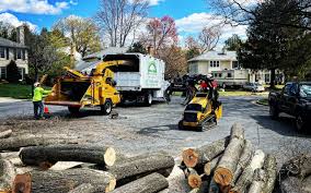 Best Lawn Pest Prevention  in Ferndale, WA
