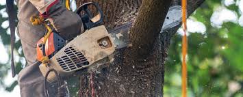 Best Soil Testing and Treatment  in Ferndale, WA